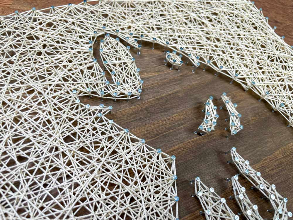 Leaping Fish String Art Kit - String of the Art