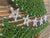 Christmas Tree String Art Kit - String of the Art