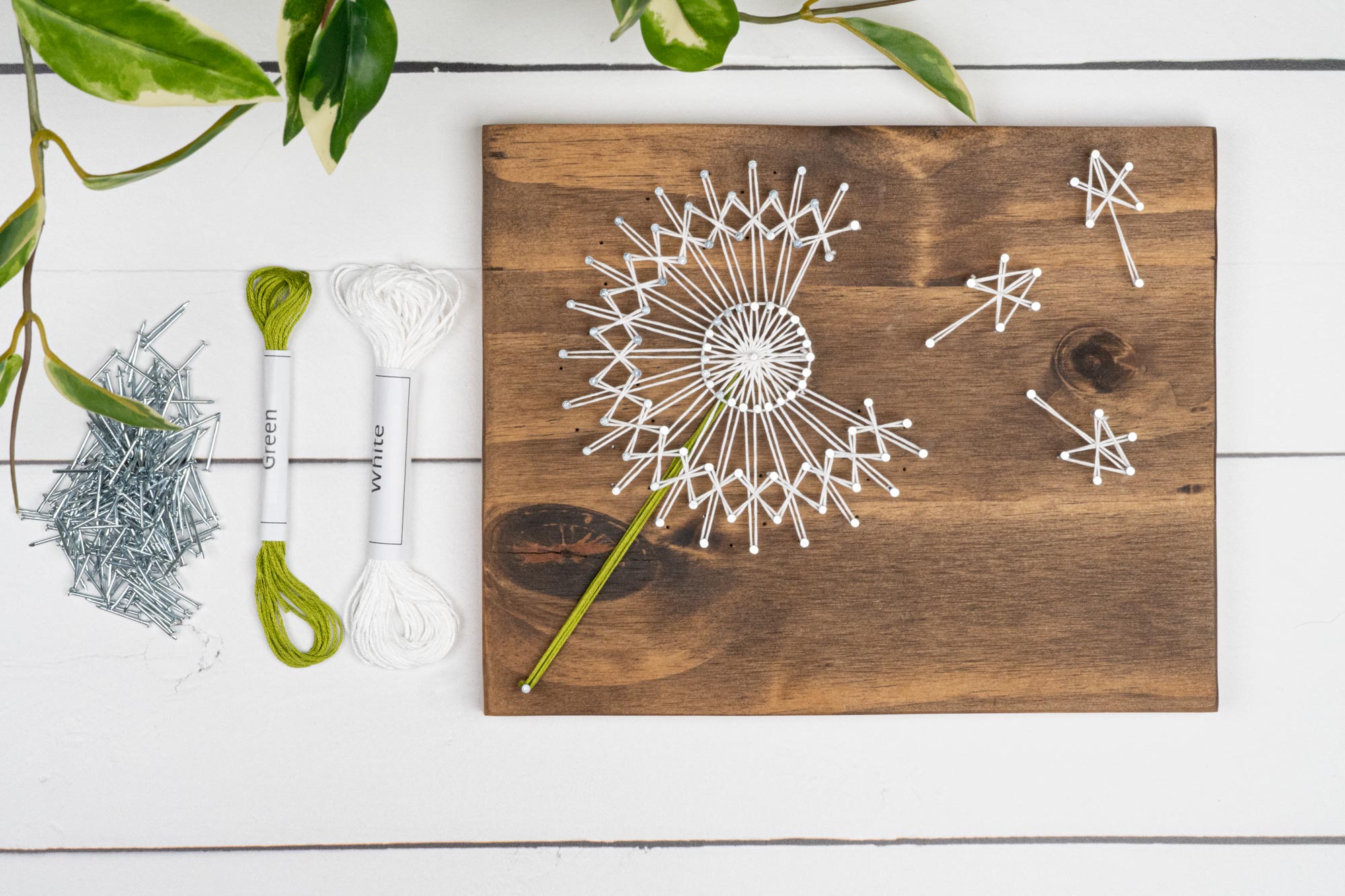 Dandelion Mini String Art Kit - String of The Art