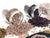 Gold Swirls Beading Kit