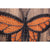 Orange Monarch Butterfly String Art Kit - String of the Art