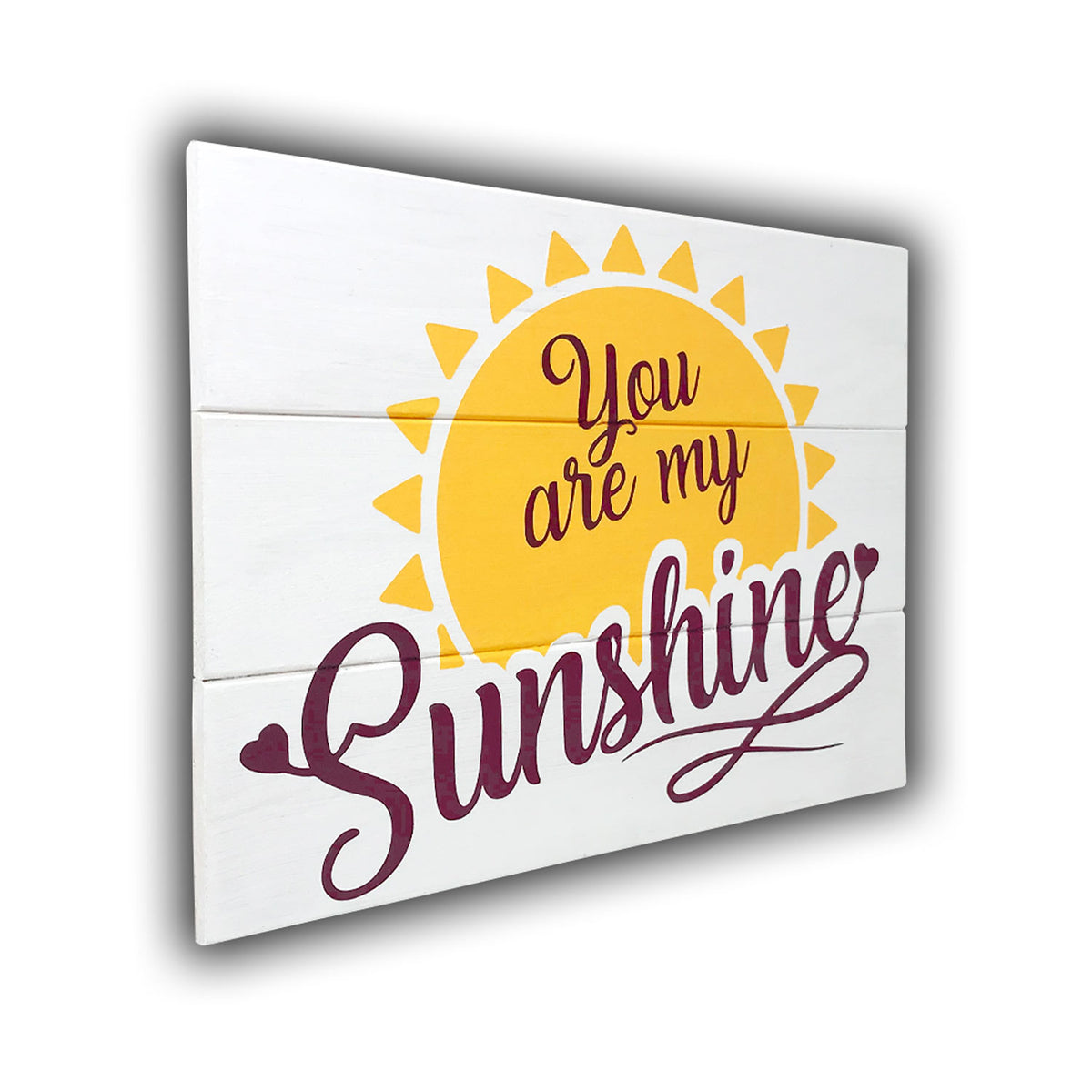 You Are My Sunshine Painting Kit