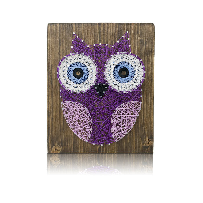 WEBEEDY String Art Kit with 3D Owl, Embroidery Kits Craft Kit DIY Nail  String Art Kit for Adults Beginner Winding Lines Painting Art Kit Projects  Home